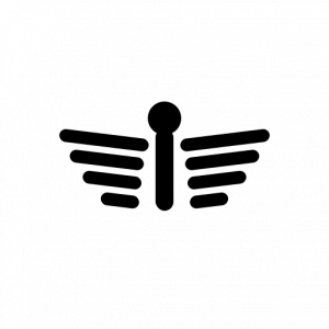 Pilot Services – Arrangement